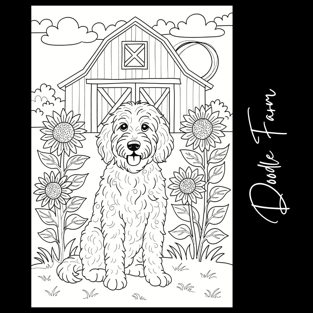 Doodle Dog Farm – Giant Coloring Page (24x36") - Tons of Hues