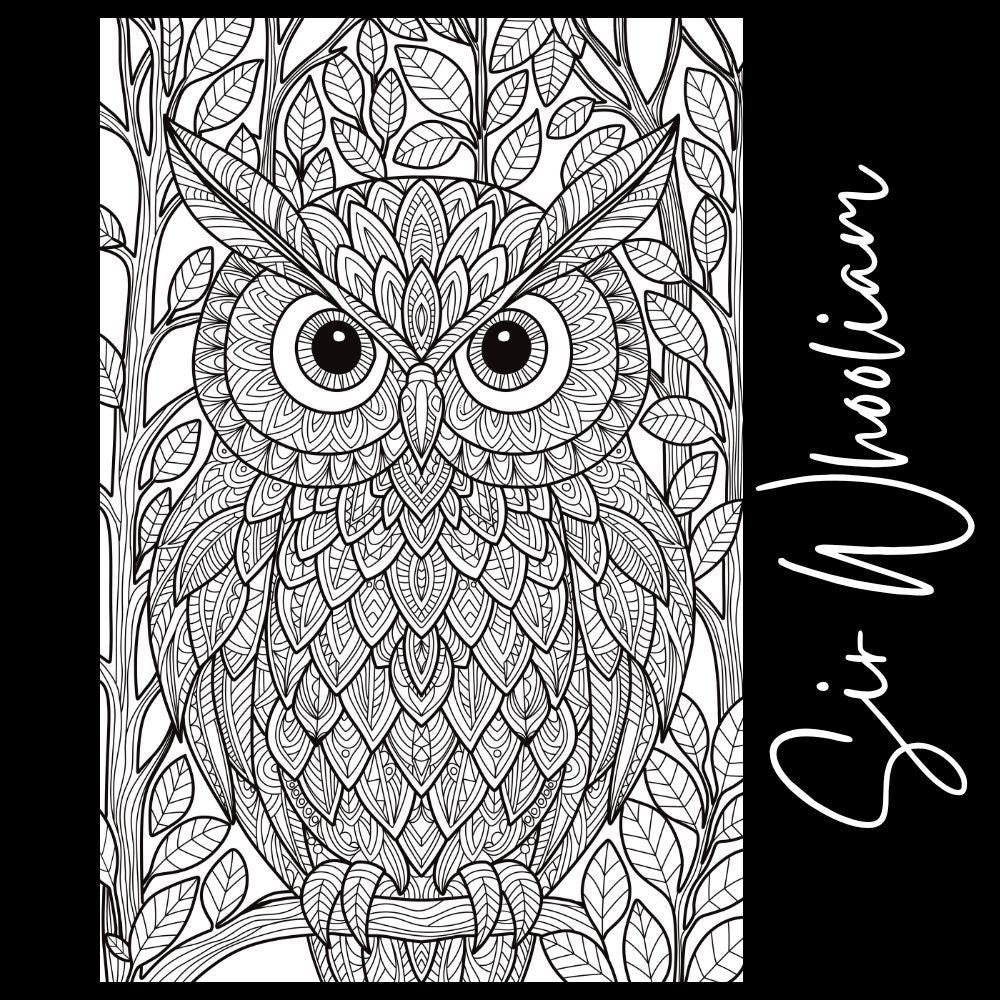 Sir Whooliam – Giant Coloring Page (24x36") - Tons of Hues